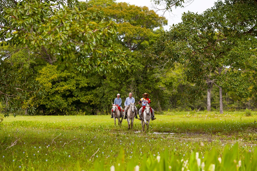 Pantanal - Pacotes Completos Pousada Piuval 2025